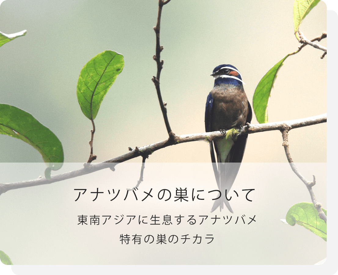 about_banner_02