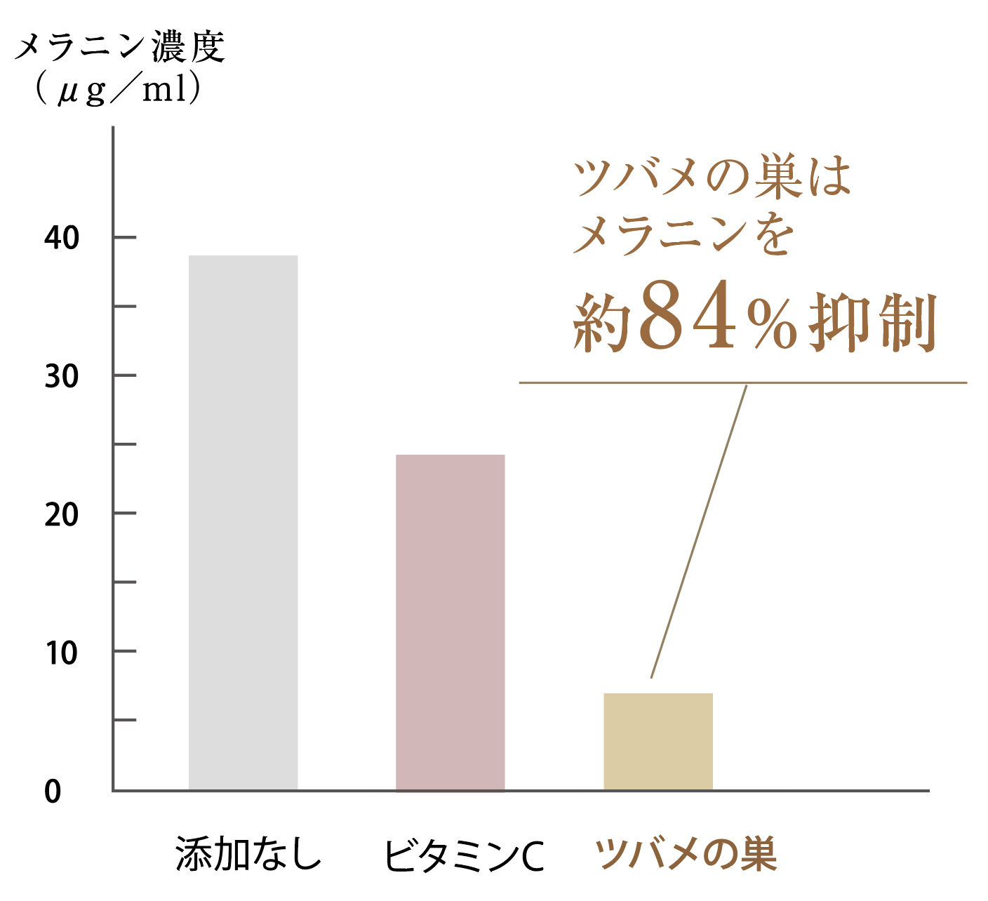 美容効果が期待できるツバメの巣とは？成分や効果、摂取方法について 