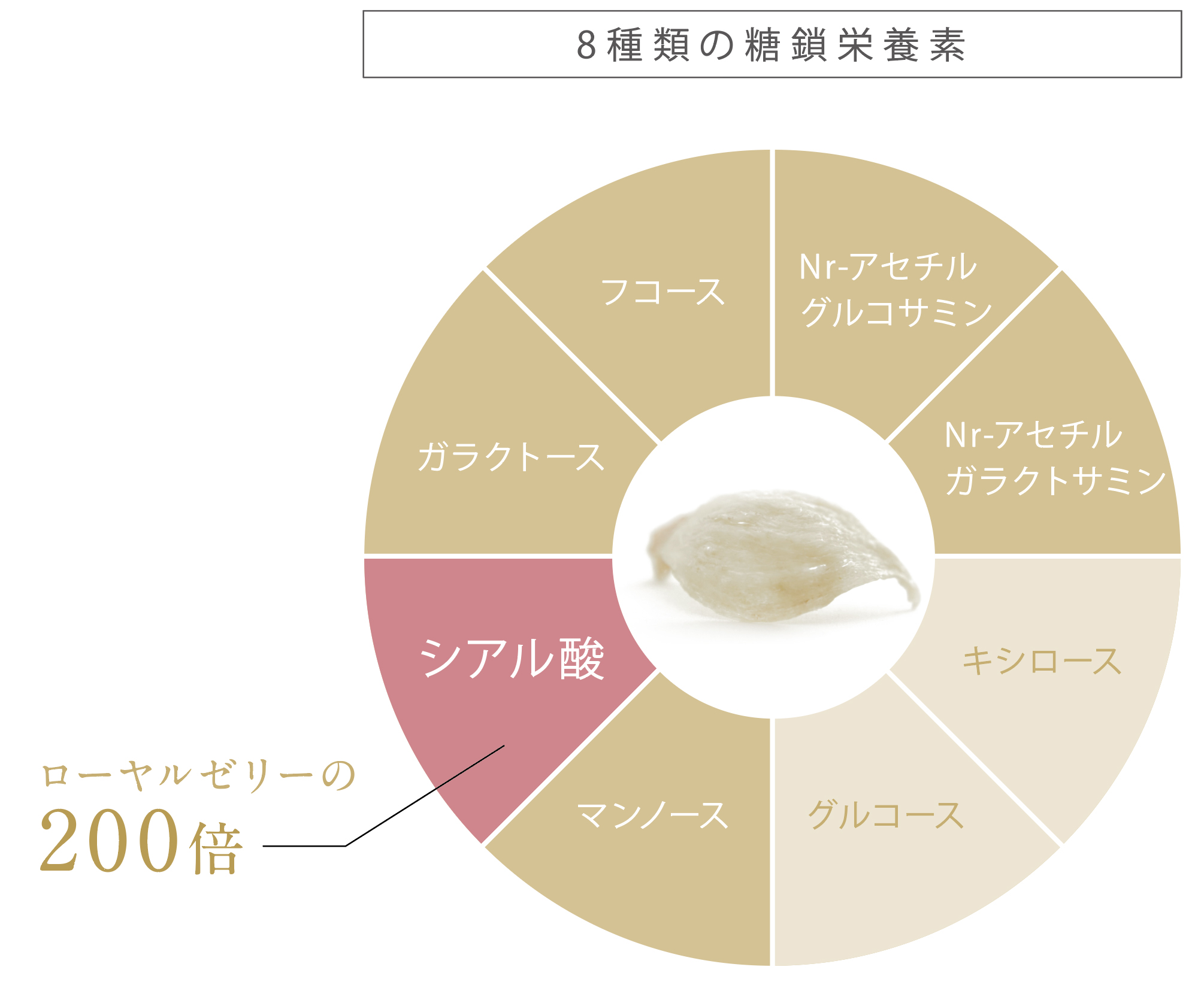 ツバメの巣に期待できる効果とは？「効果なし」といわれる理由も解説 